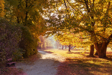 Footpath in a beautiful colorful autumn park