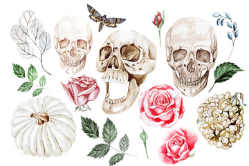 Watercolor set with skulls, roses, pumpkins,leaves. 