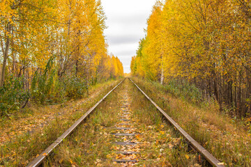 Fototapeta na wymiar Old railway in the autumn forest.