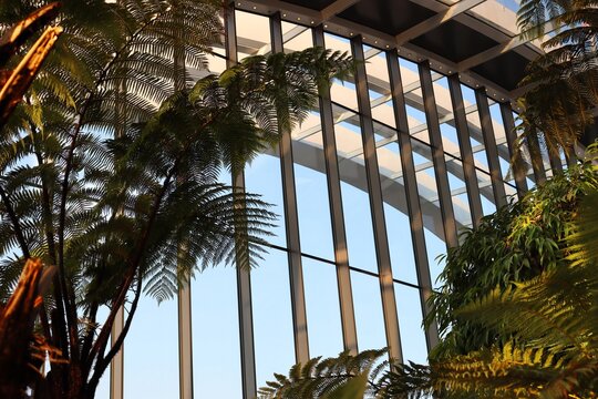 Sky Garden Interior , London , UK