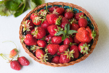 Frische Erdbeeren in einem Korb