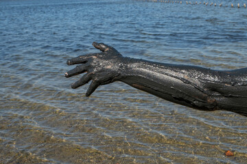 Woman hand smeared with black healing mud.