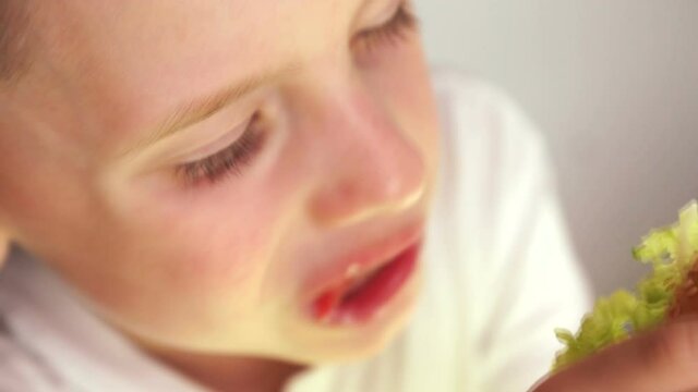 Close-up Caucasian little boy eating appetizing hamburger. Child eating fast food breakfast. Selective focus, shallow depth of field.