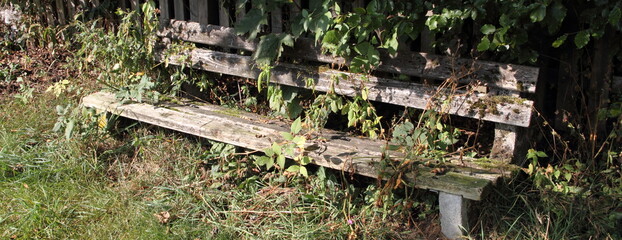 a nice old garden bench