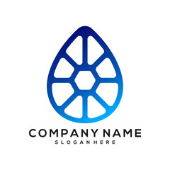 water shell vector, droplet vector logo