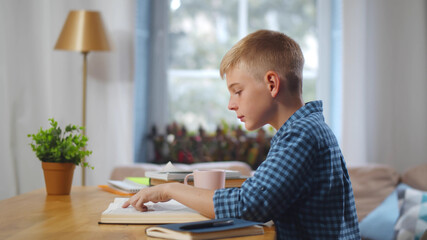 Fototapeta na wymiar Cute caucasian schoolboy reading and doing homework at home