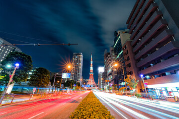Fototapeta premium 東京タワーが見える景色