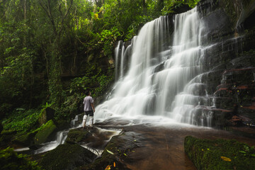 Obraz premium Beautiful moment of Mun dang waterfall with a pink flower foreground in Rain Forest at Phitsanulok Province, Thailand