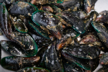 Perna viridis or fresh green Mussel in Seafood market texture background. Fresh Asian Green Mussels Thailand (Perna viridis) on the street market. Seafood background, seafood market.