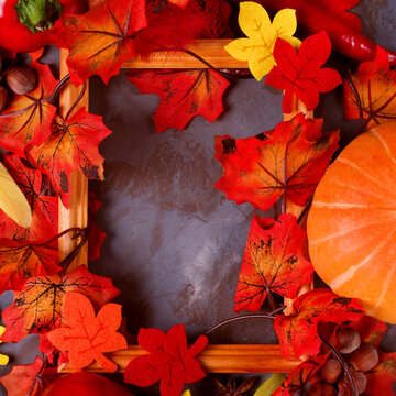 Autumn background with the picture frame, decorative fallen leaves and pumpkin shaping the copy space 