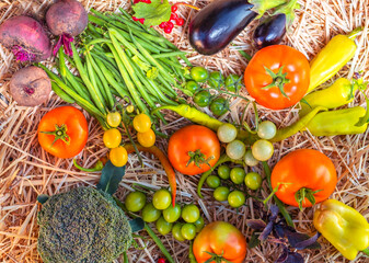 Harvest of vegetables, composition of vegetables