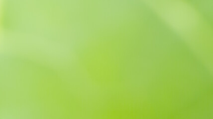 abstract green color in blur photo from nature (plant) and rough texture from leaf  with sunlight for background