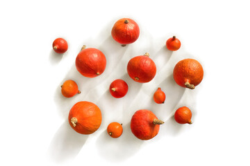 Fresh raw fruits red kuri squash ( hokkaido ) on a white background. Top view, flat lay