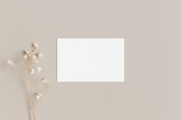 White business card mockup with a gypsophila. 85x55mm