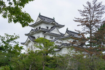 A center of Igaueno castle in Japan
