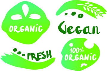 Set of green eco friendly products icons. Calligraphic gradient stickers for vegan shop, health foods. Fresh organic labels with lettering. No chemicals vegetarian menu. Vector illustration. 
