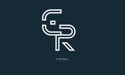 Alphabet letter icon logo ER