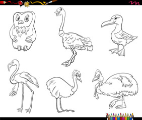 cartoon birds animal characters set coloring book page
