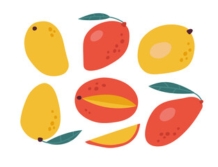 Vector illustration of red and yellow mango and half of the mango isolated on a white background.  Hand-drawn vector papaya set. Trendy illustration for web and print design.