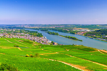 Aerial panoramic view of river Rhine Gorge or Upper Middle Rhine Valley winemaking region with vineyards green fields, Rudesheim am Rhein town, blue sky, Rhineland-Palatinate, Hesse states, Germany