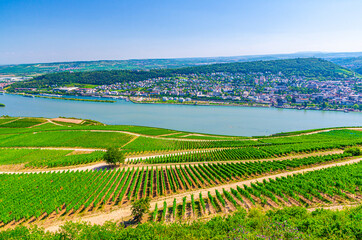 Aerial panoramic view of river Rhine Gorge or Upper Middle Rhine Valley winemaking region with vineyards green fields, Bingen am Rhein town, blue sky, Rhineland-Palatinate, Hesse states, Germany