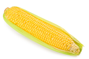 An ear of corn isolated on a white background