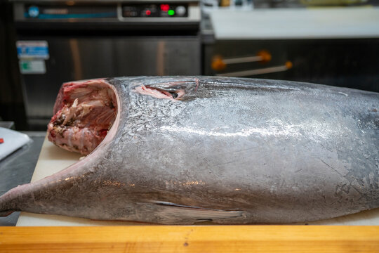 マグロ解体 の画像 346 件の Stock 写真 ベクターおよびビデオ Adobe Stock