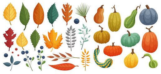 Collection of colorful autumn leaves and pumpkins. Design elements for print, greeting card, poster, banner, fabric. Vector illustration.