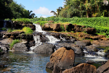 Fototapeta na wymiar Waterfall of the River Citron, Balacava, Mauritius