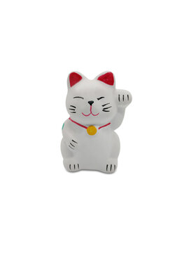 Lucky cat isolated on white background.