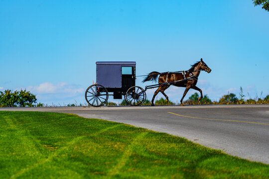 Silhouette view of an Amish Buggy
