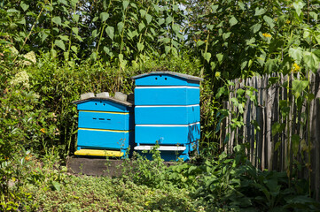 Traditional wooden hives for beeholding