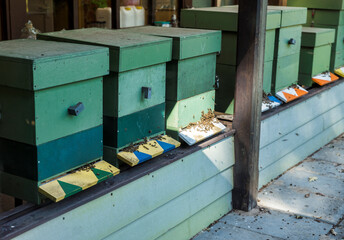 Traditional wooden hives for beeholding