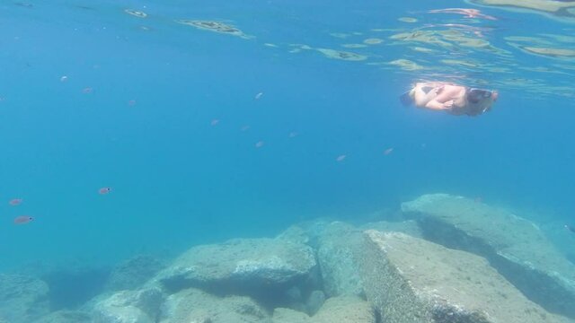 snorkeling underwater in mediterranean sea im monterosso cinque terre italy