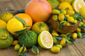 Naklejka na ściany i meble Mixed citrus fruits in studio