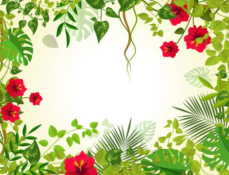 Summer tropical background with jungle plants. Liana branches frames and rainforest tropical leaves flowers. Junglee liana plants for banner greeting template vector