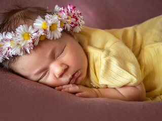 Obraz na płótnie Canvas Portrait of 8 days old newborn baby girl sleeping