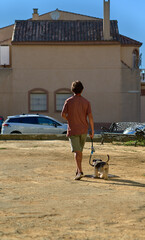 family, pets, animals and people concept - happy man with dog walking in city park