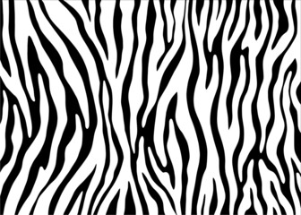 Abstract Zebra pattern design, animal skin vector illustration background. wildlife fur skin design illustration.