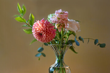 Dahlia in Vase