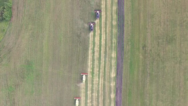 Harvester working in the field, mowing the grass