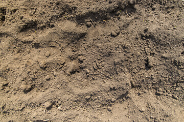 Dry ground texture top view. Dry soil in the garden. Concept of drought