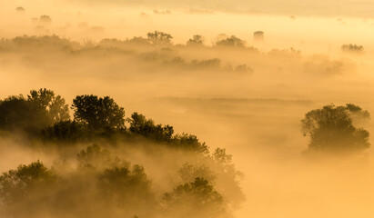 Morning foggy valley at sunrise, yellow calm autumn landscape