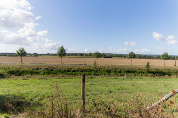 Obraz premium Agricultural field near Leuth, The Netherlands 