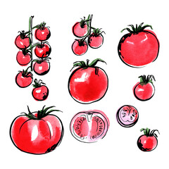 Sketch of food vegetables by line and watercolor. Cherry tomatoes