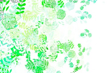 Light Green vector abstract design with leaves, flowers.