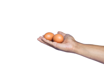 Two eggs In hand holding on a white background