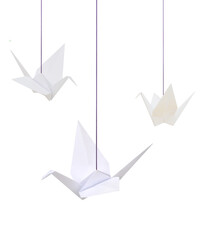 A hanging white origami cranes isolated white