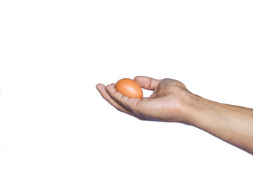 Hand holding an egg on white background