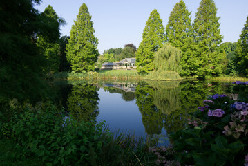 Fototapeta premium reflections of trees in the lake in the park